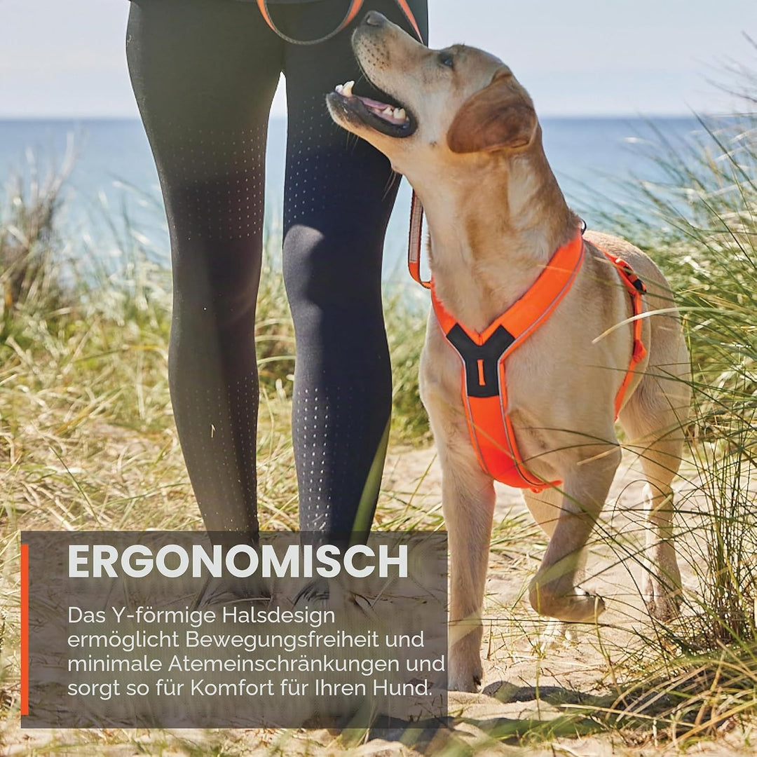 Non-stop dogwear Line Harness 5.0, Gepolstertes Hundegeschirr für kleine, mittlere und grosse Hunde,