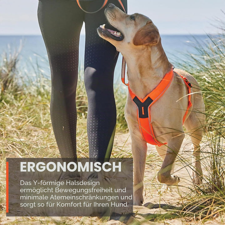 Non-stop dogwear Line Harness 5.0, Gepolstertes Hundegeschirr für kleine, mittlere und grosse Hunde,