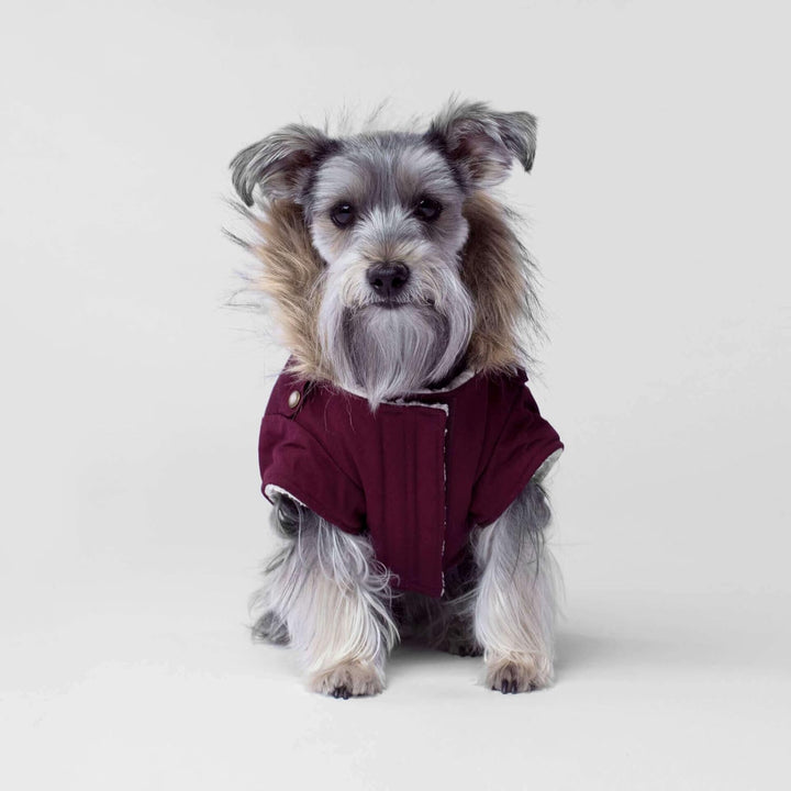 Canada Pooch Hundemantel, Alaskan Army Parka, Winterparka für Hunde, Kastanienbraun, Grösse 12 kasta