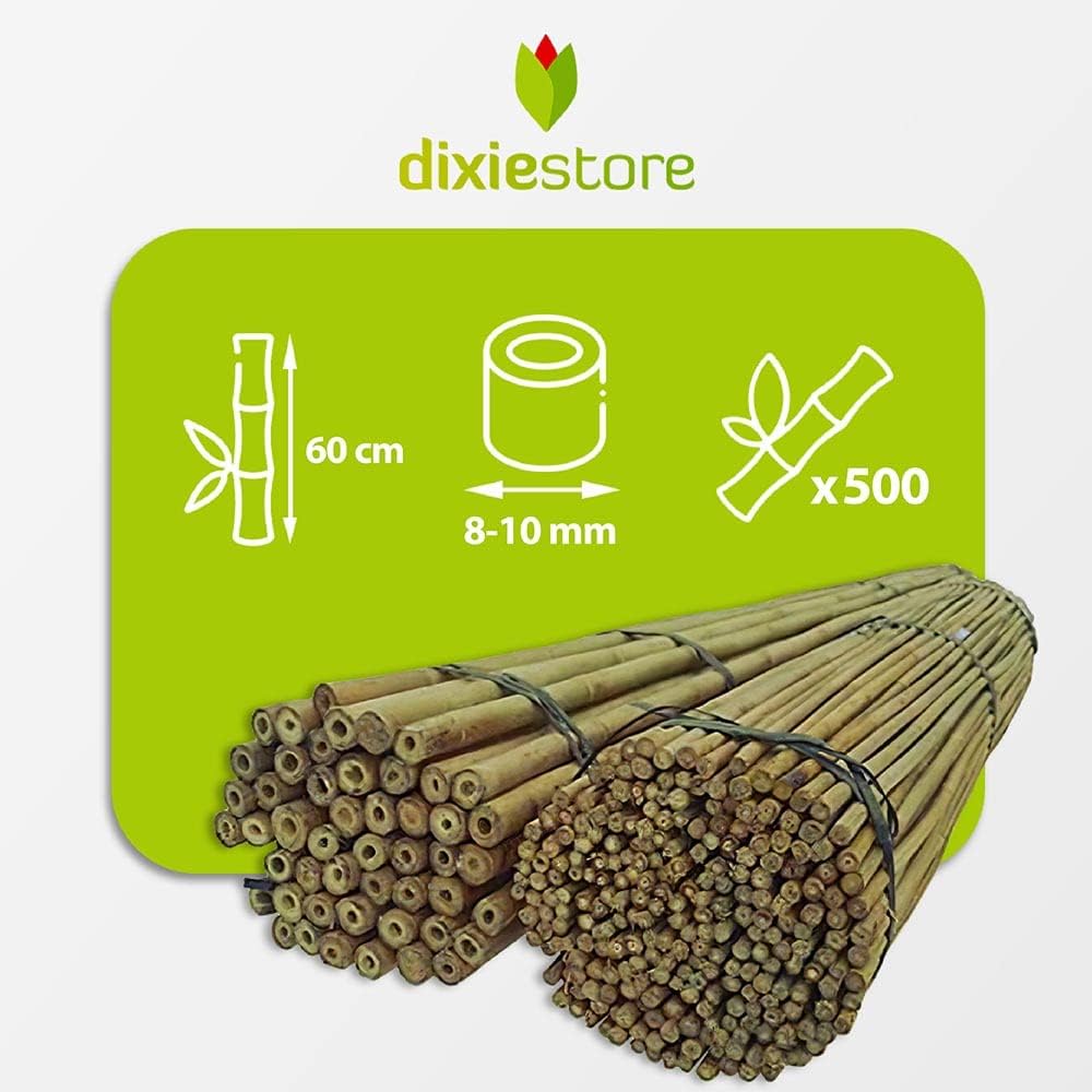 DIXIE STORE Bambusstäbe - Bambusstangen Set Blumenstützen - Robuste Pflanzenstäben aus Bambus 60 cm