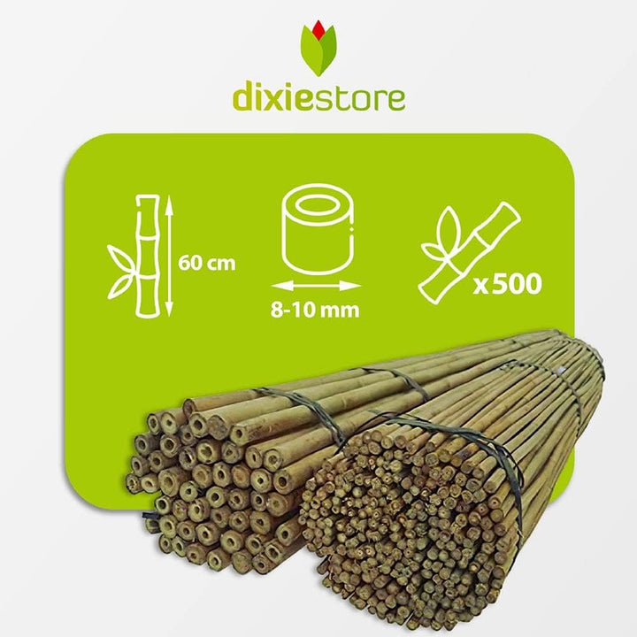 DIXIE STORE Bambusstäbe - Bambusstangen Set Blumenstützen - Robuste Pflanzenstäben aus Bambus 60 cm