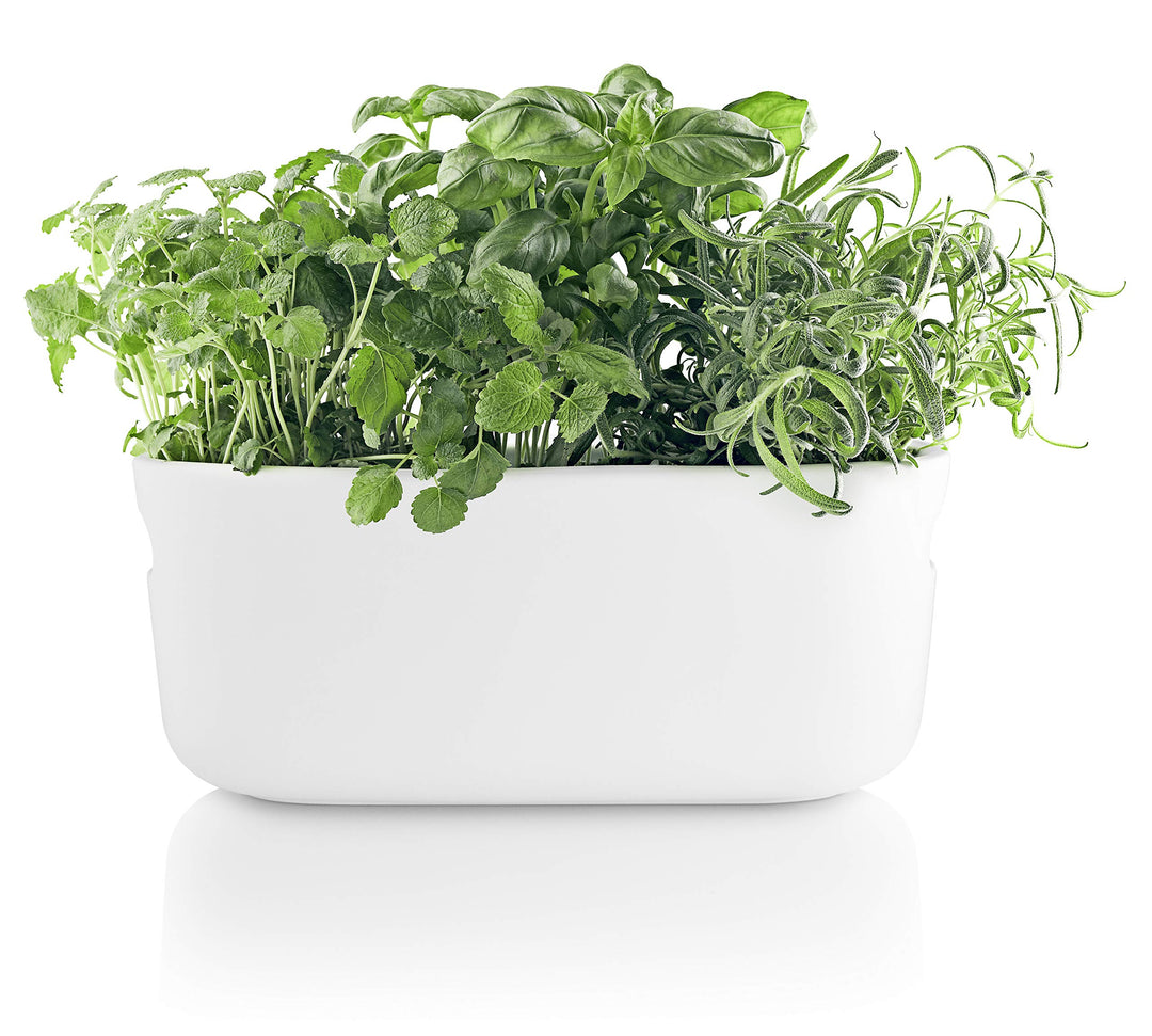 EVA SOLO | Selbstbewässernder Herb-Organiser white | Verhilft Kräutern zu einem langen Leben | Weiss