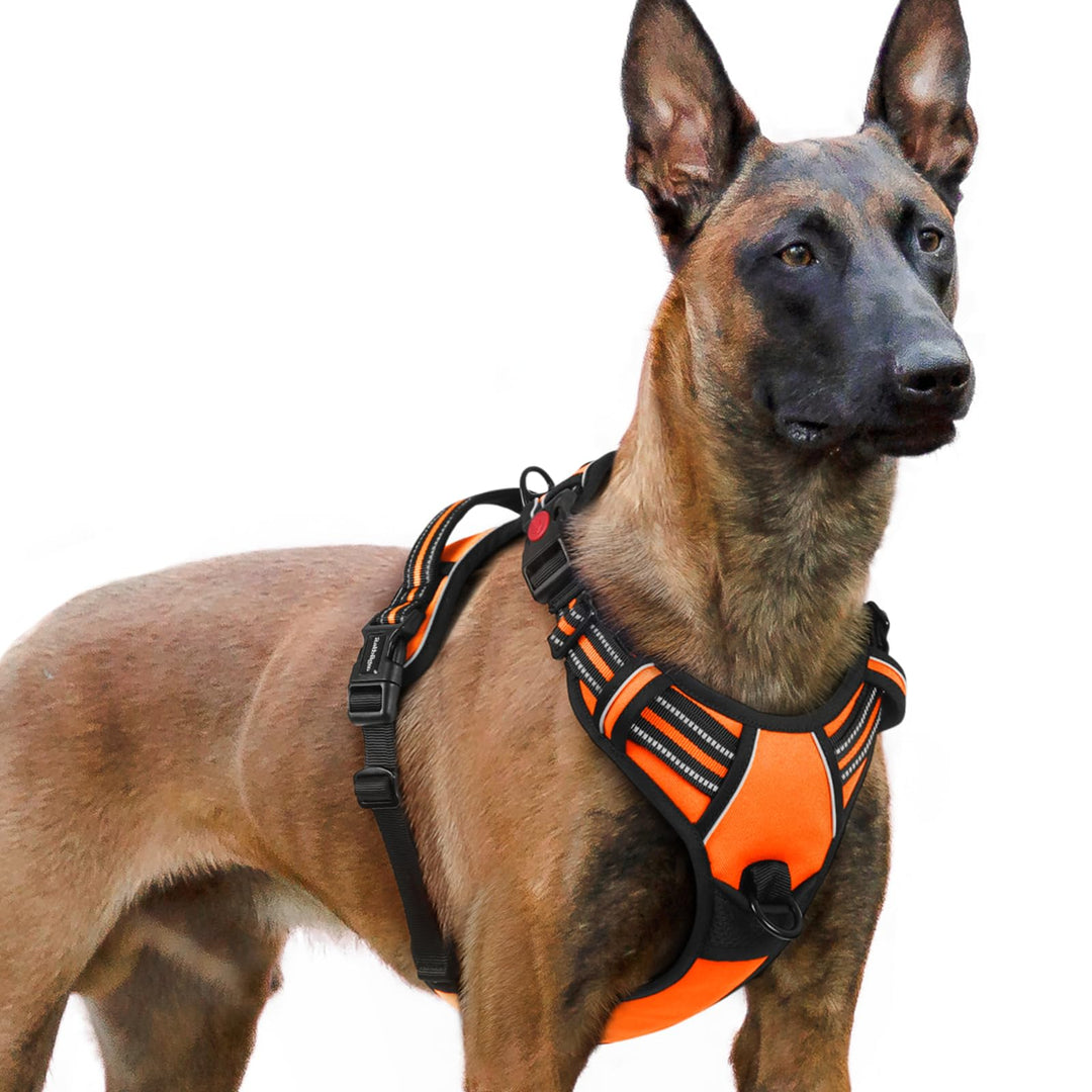 rabbitgoo Hundegeschirr Grosse Hunde, Verstellbare Geschirr Hund ohne Zug & Würgen, Anti Zug Hundege