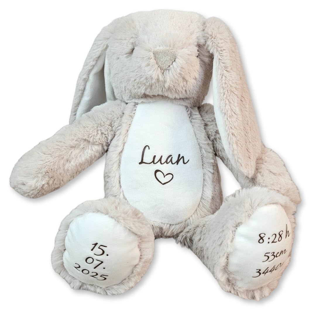 Personalisierte Geschenke Baby | Kuscheltier mit Geburtsdaten & Name | Kuscheltier für Kleinkinder H