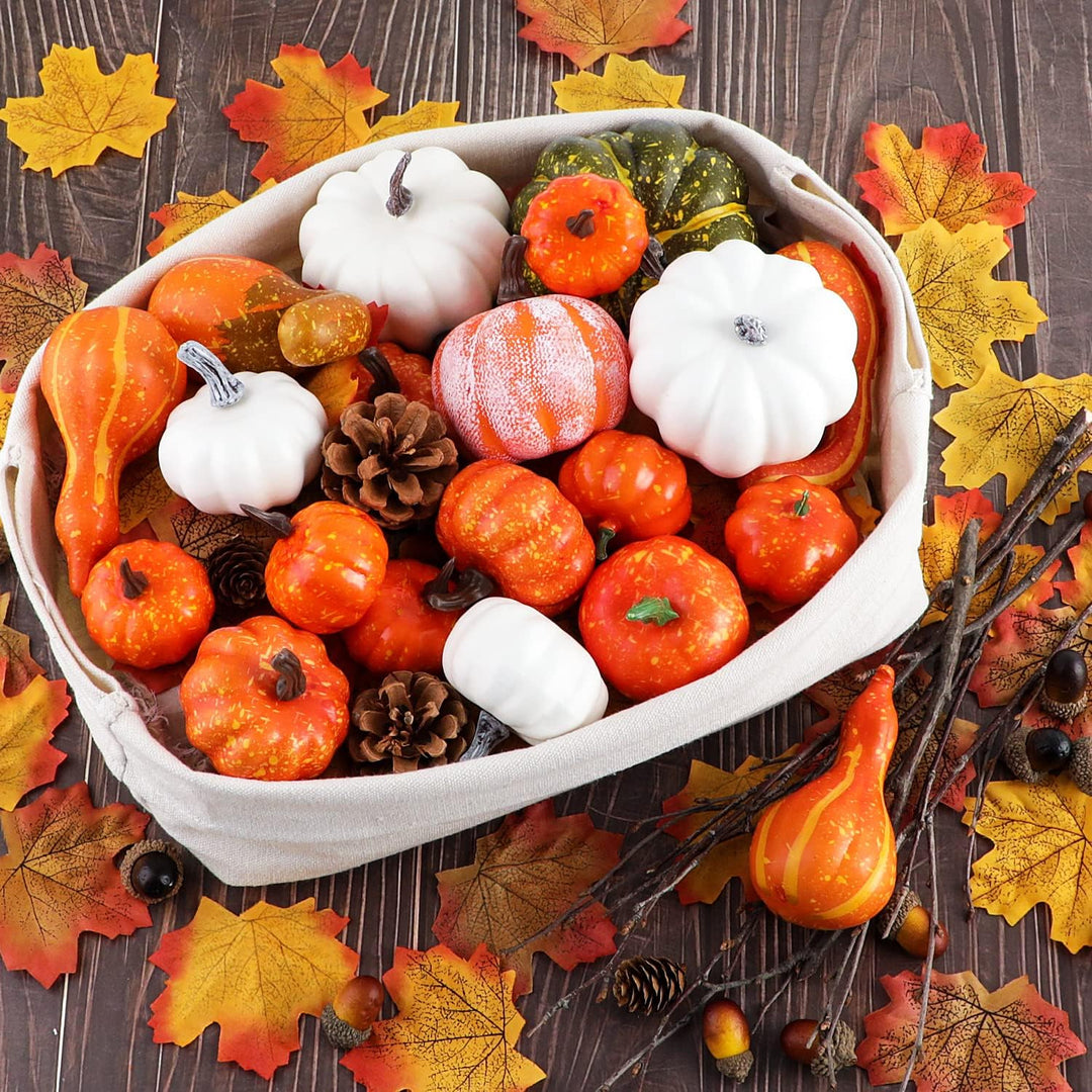 Benjia Kürbis Herbst Deko Dekoration Innen, Weiss und Gold Kürbisse Zierkürbisse Herbstdeko Herbstde
