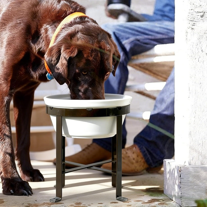 BestVida Erhöhter Hundenapf, Erhöhter Einzelnapfständer, Hundefutterstation mit 1x2400ml Steingutnap