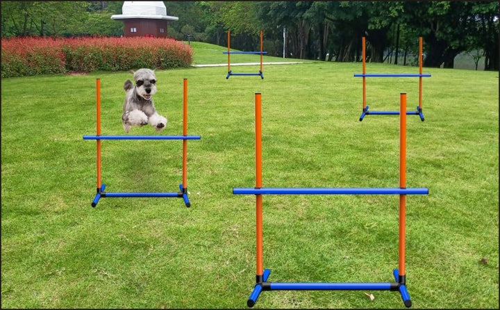 Agility Set Hunde Hürdenset Ausrüstung für Hundetraining mit 6 x Hürden Höhenverstellbar Ags-6set, A