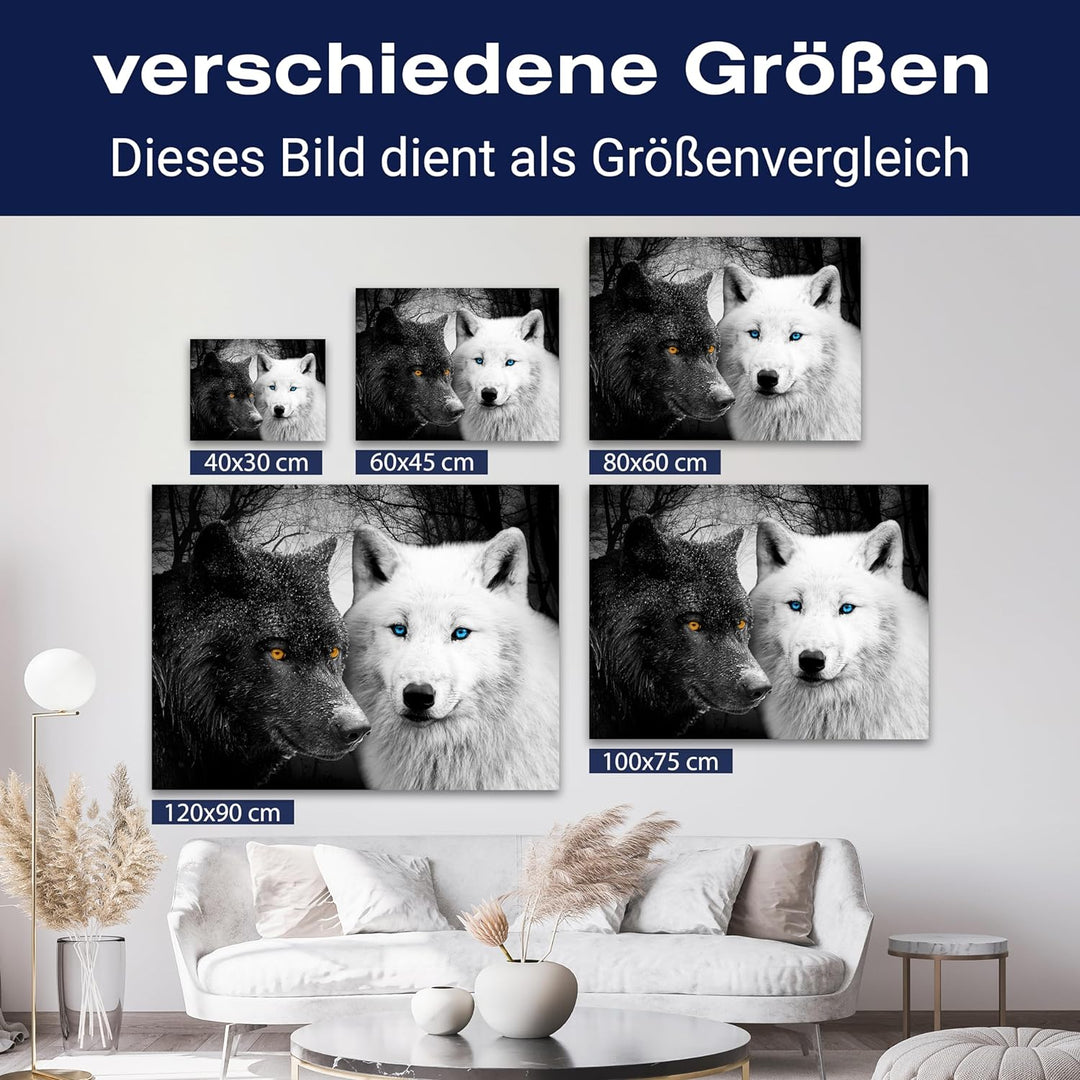 wandmotiv24 Leinwand-Bild Wölfe Schwarz & Weiss, Grösse 40x30cm, Querformat, Wandbilder, Dekoration