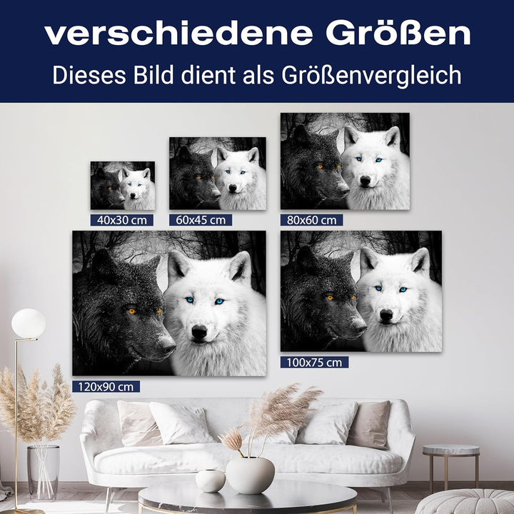 wandmotiv24 Leinwand-Bild Wölfe Schwarz & Weiss, Grösse 40x30cm, Querformat, Wandbilder, Dekoration