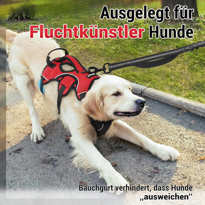 rabbitgoo Ausbruchsicheres Hundegeschirr Mittelgrosse Hunde mit Griff, Anti Zug Sicherheitsgeschirr