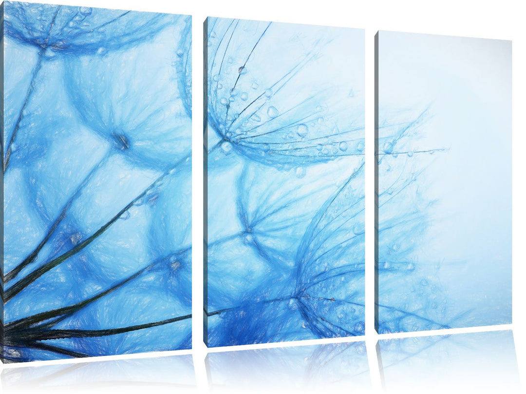 Pixxprint Tropfen bedeckte Pusteblumen Bunstift Effekt 3-Teiler Leinwandbild 120x80 Bild auf Leinwan