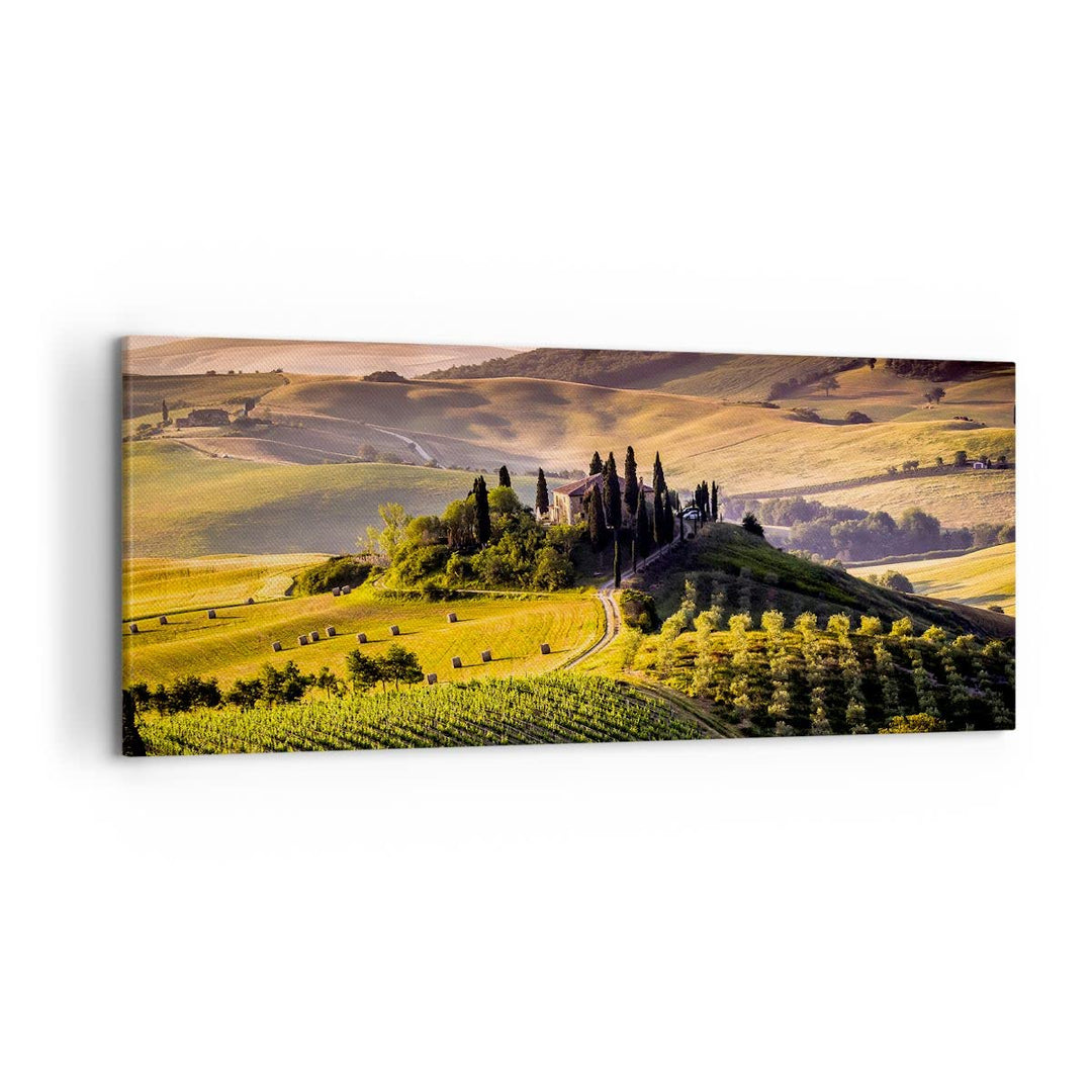 Wandbilder Dekoration Wohnzimmer Landwirtschaft Bauernhof Toskana Weinberg Bilder auf Leinwand 120x5