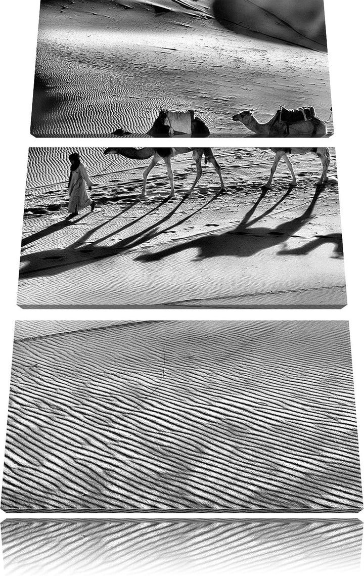 Pixxprint Monocrome, Kamelkarawane in der Wüste 3-Teiler Leinwandbild 120x80 Bild auf Leinwand
