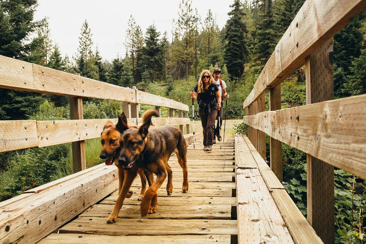 Cascade Mountain Tech Trekkingstöcke, Karbonfaser, mit schnell verstellbaren Verriegelungen, 2 Stück