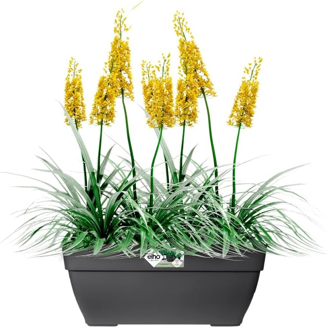Elho Vibia Campana Trough 80 - Übertopf für Aussen Anthrazit 80 cm 80 cm Anthrazit, 80 cm Anthrazit