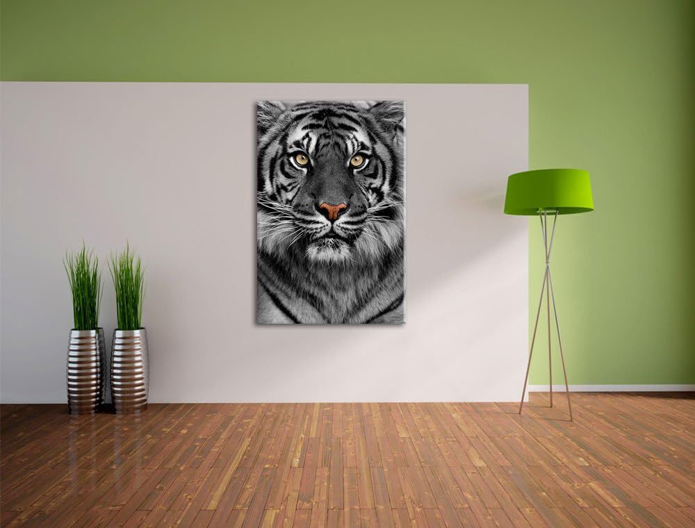 Pixxprint Aufmerksamer Tiger als Leinwandbild/Grösse: 100x70 / Wandbild/Kunstdruck/fertig bespannt,