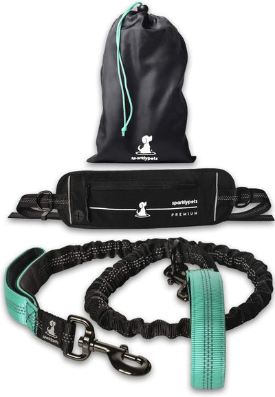 Joggingleine für Hunde zum Laufen, Joggen, Wandern | 2 in 1 Joggingleine und Normale Hundeleine für
