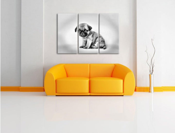 Pixxprint Kleiner Hundewelpe Mops als Leinwandbild/Grösse: 3 Teilig (120x80 cm) cm/Wandbild/Kunstdru