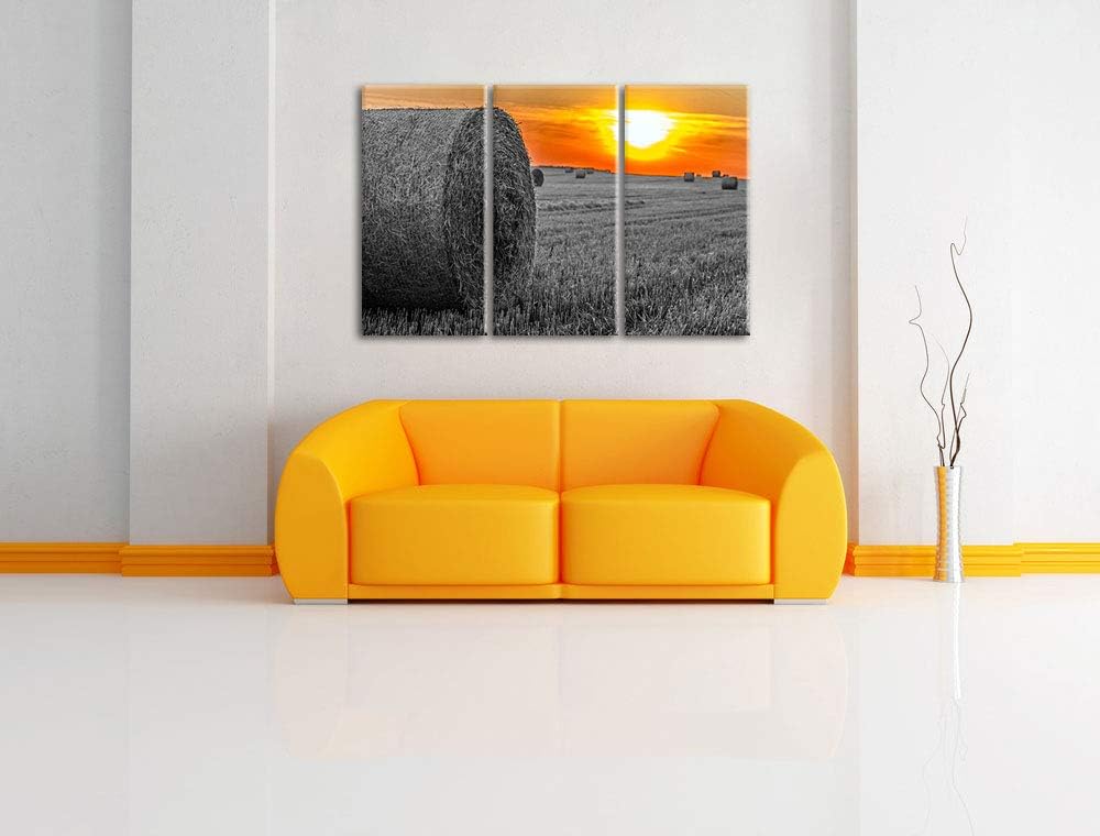 Strohballen auf Feld bei Sonnenuntergang schwarz/weiss 3-Teiler Leinwandbild 120x80 Bild auf Leinwan
