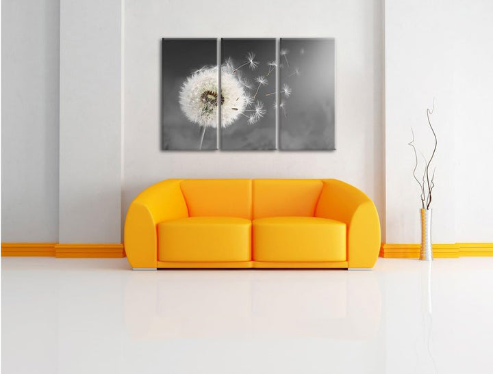 Pixxprint Löwenzahn Samen als Leinwandbild | Grösse: 3 Teilig (120x80) | Wandbild| Kunstdruck | fert