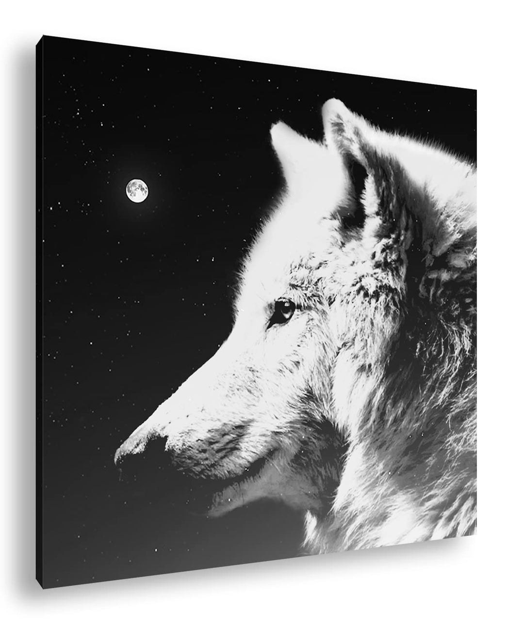 deyoli einsamer stolzer Wolf Format: 70x70 Effekt: Schwarz&Weiss als Leinwandbild, Motiv fertig gera