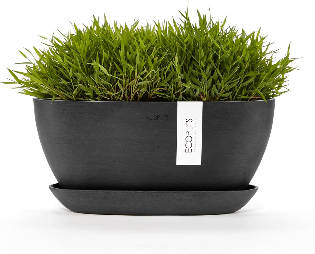 Ecopots Pflanzschale Sofia Dunkel Grau - 30 x 13 cm oval gross - Pflanzentopf aus Recycling Kunststo