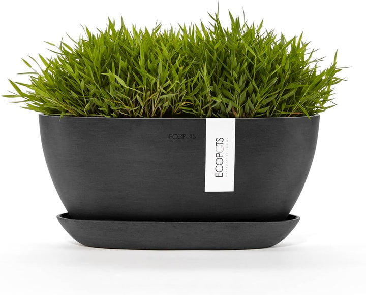 Ecopots Pflanzschale Sofia Dunkel Grau - 30 x 13 cm oval gross - Pflanzentopf aus Recycling Kunststo