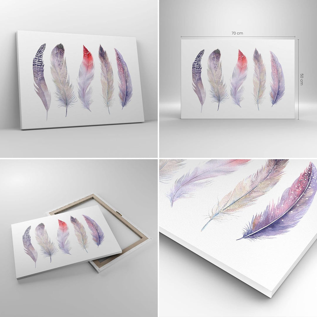 Bilder auf Leinwand Feder Tier Vogel Komposition Leinwandbild 70x50cm Wandbilder Dekoration Wohnzimm