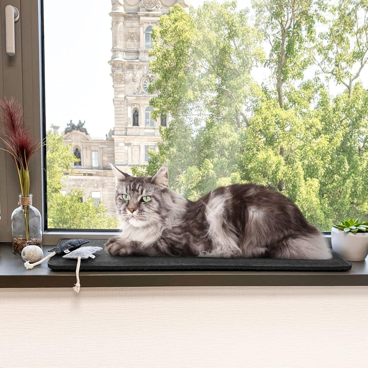 CanadianCat Company | Filzmatte für Fensterbänke, gepolsterte Fensterbankauflage | dunkelgrau | S -