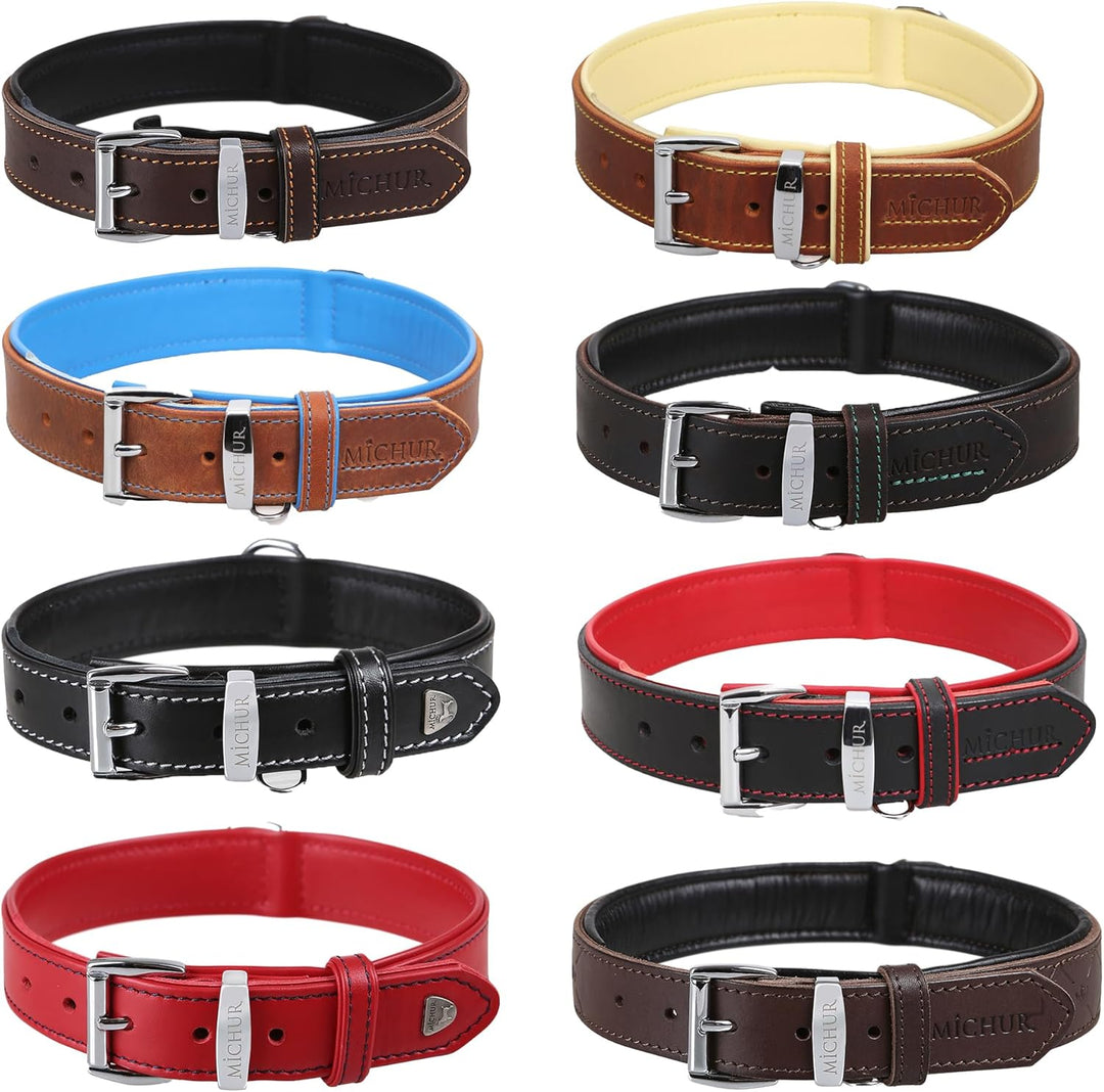 MICHUR Charly Hundehalsband Leder Braun Gelb, Lederhalsband Hund, Halsband, Leder, in verschiedenen