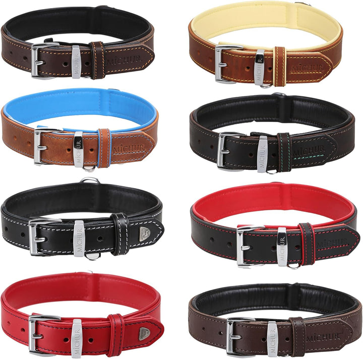 MICHUR Charly Hundehalsband Leder Braun Gelb, Lederhalsband Hund, Halsband, Leder, in verschiedenen