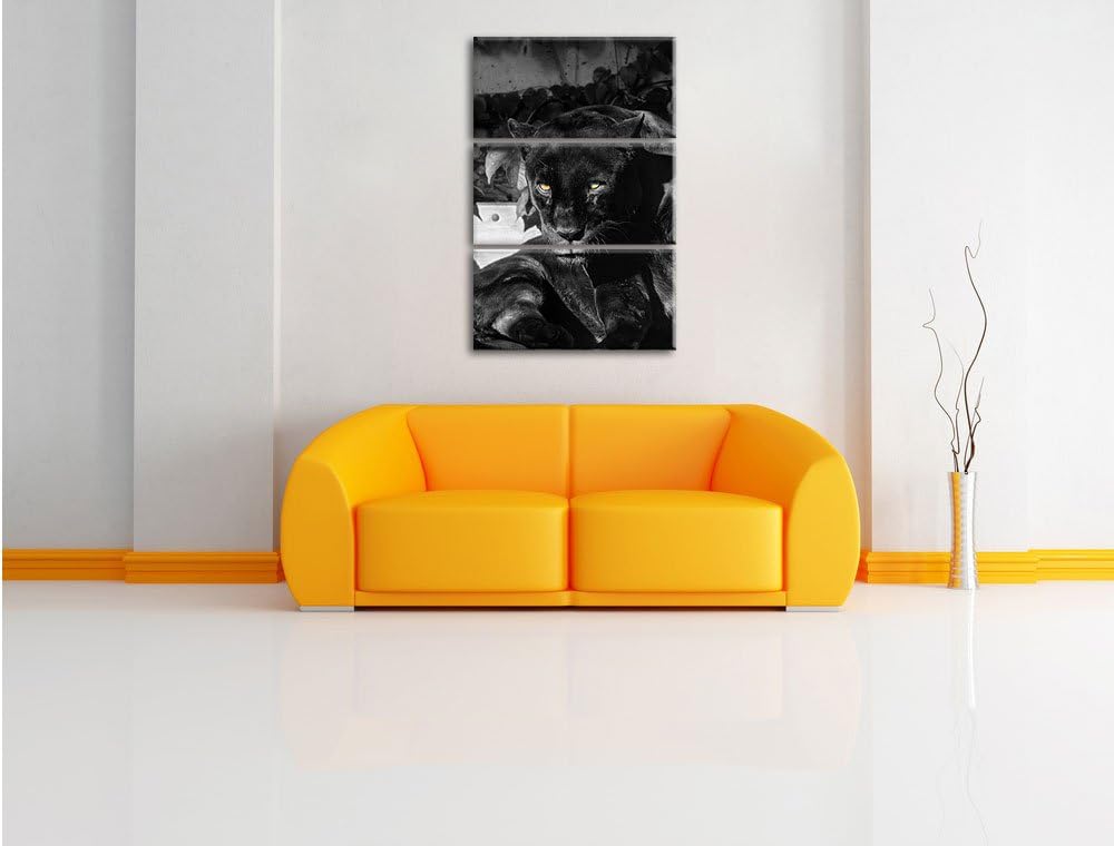 Pixxprint schwarzer Panther als Leinwandbild/Grösse: 3 Teilig (120x80) cm/Wandbild/Kunstdruck/fertig