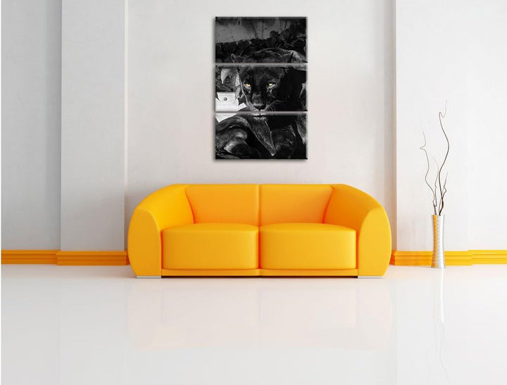 Pixxprint schwarzer Panther als Leinwandbild/Grösse: 3 Teilig (120x80) cm/Wandbild/Kunstdruck/fertig