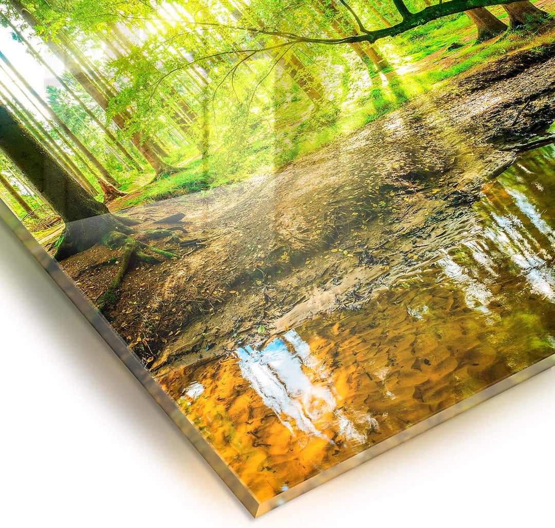 murando Spritzschutz Glas für Küche 60x60 cm Küchenrückwand Küchenspritzschutz Fliesenschutz Glasbil