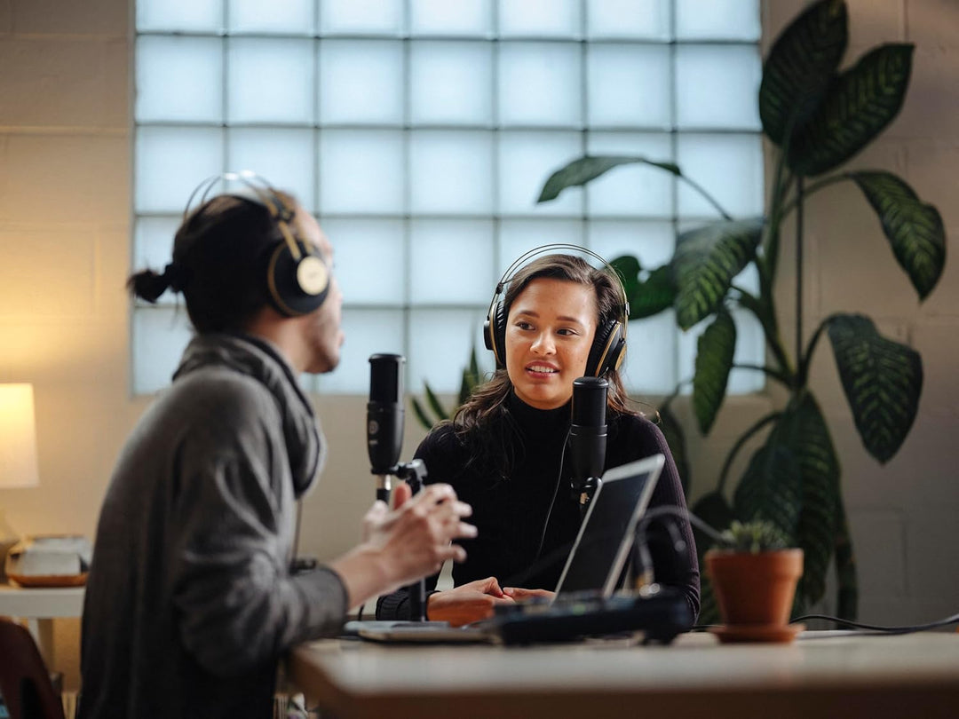 AKG P120 Hochleistungs-Allzweck-Aufnahme-Mikrofon, Studioqualität, Grossmembran, vielseitig einsetzb