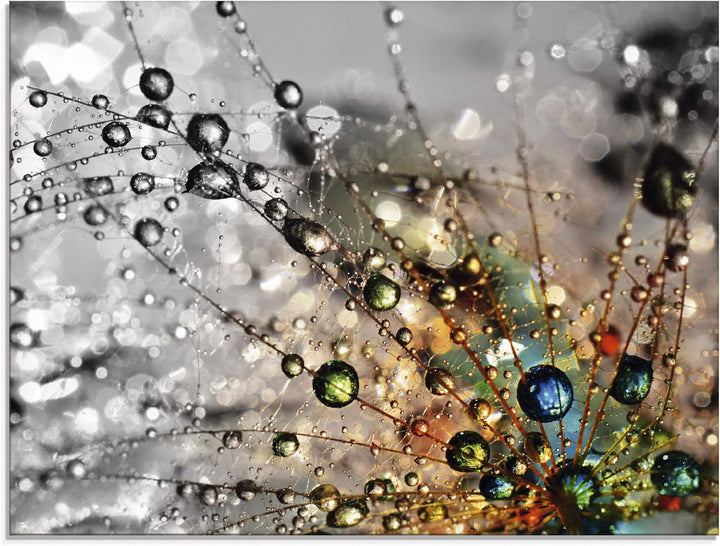 Glasbilder Wandbild Glas Bild einteilig 60x45 cm Querformat Natur Botanik Blumen Pusteblume Frühling