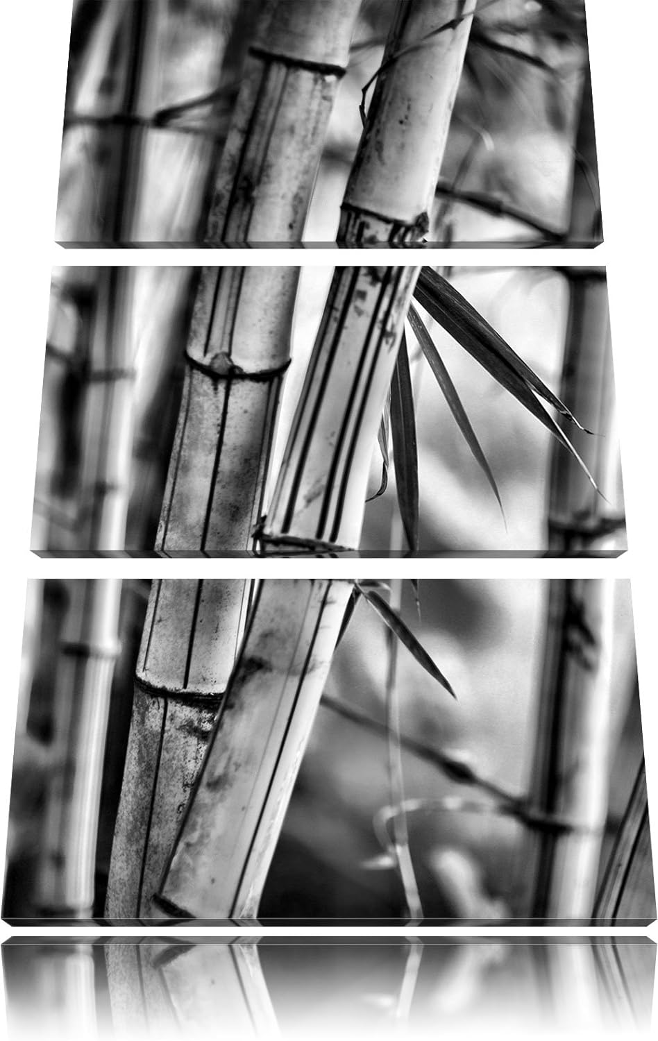 Pixxprint Alter Bambus Wald als Leinwandbild/Grösse: 3 Teilig (120x80) cm/Wandbild/Kunstdruck/fertig