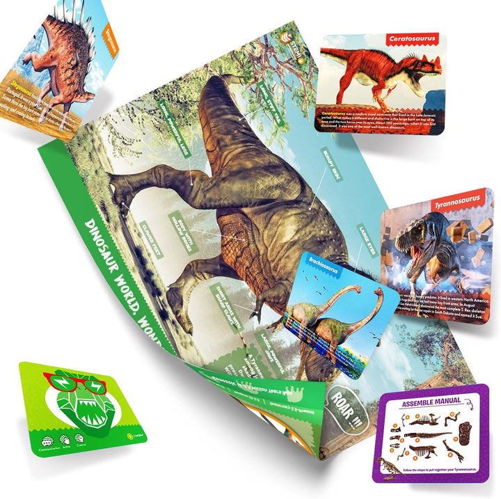 EGGBOX Dinosaurier Skelett Ausgrabungsset für Kinder, 2-in-1 Dino Dig & Malset, Dinosaurier Spielzeu