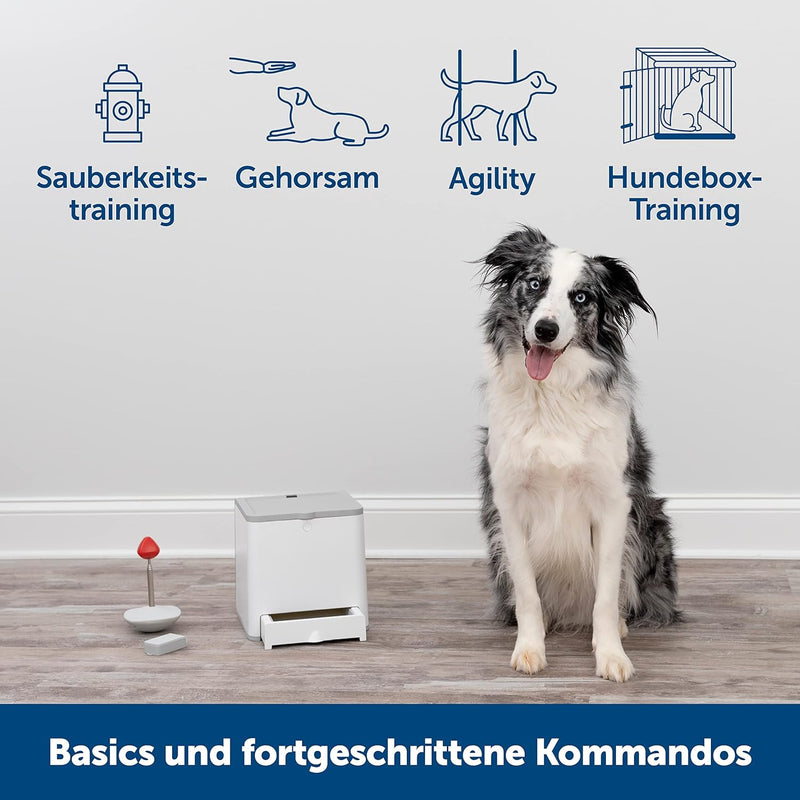 PetSafe Teach & Treat Ferngesteuerter Belohnungstrainer für Hunde, Training und positive Verstärkung