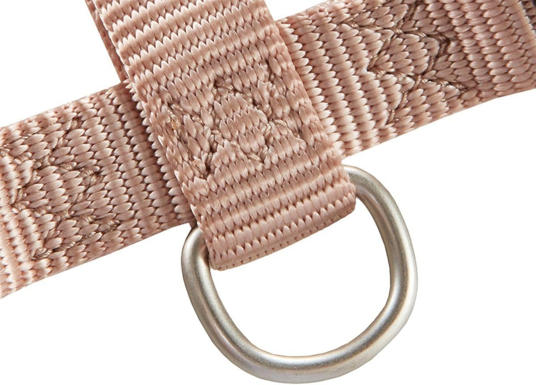 Wolters Geschirr Professional, Grösse:XL 75-100 cm x 25 mm, Farbe:Champagner XL 75 - 100 cm x 25 mm