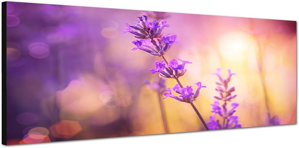 Paul Sinus Art Panoramabild auf Leinwand und Keilrahmen 150x50cm Lavendel Sommer Sonnenlicht