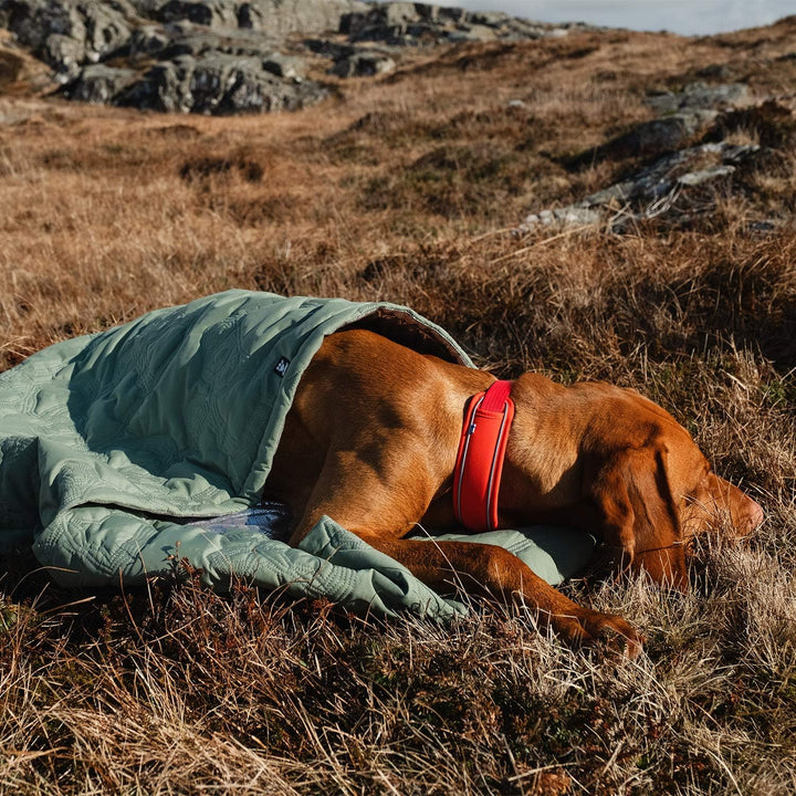 Hurtta Outback Dreamer ECO Hundeschlafsack, Hedge, klein L 10 x B 15 x H 3 cm, L 10 x B 15 x H 3 cm