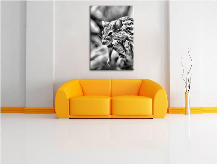 Pixxprint Monocrome, ruhende Feldmaus, Format: 100x70 auf Leinwand, 100x70