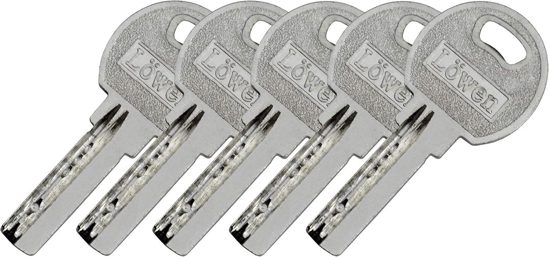 LÖWEN 60 mm 4x Zylinderschloss 30/30 Doppelzylinder gleichschliessend Massive Schliesszylinder inkl.