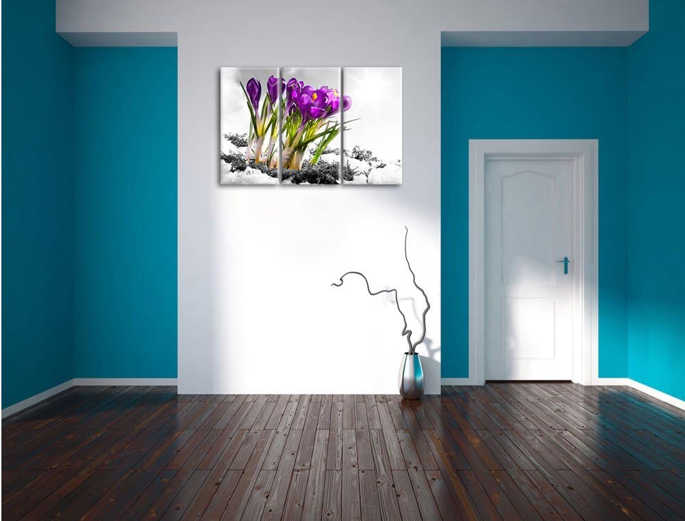 Pixxprint Kunst Frühling florwer Hintergrund als Leinwandbild/Grösse: 3 Teilig (120x80) cm/Wandbild/