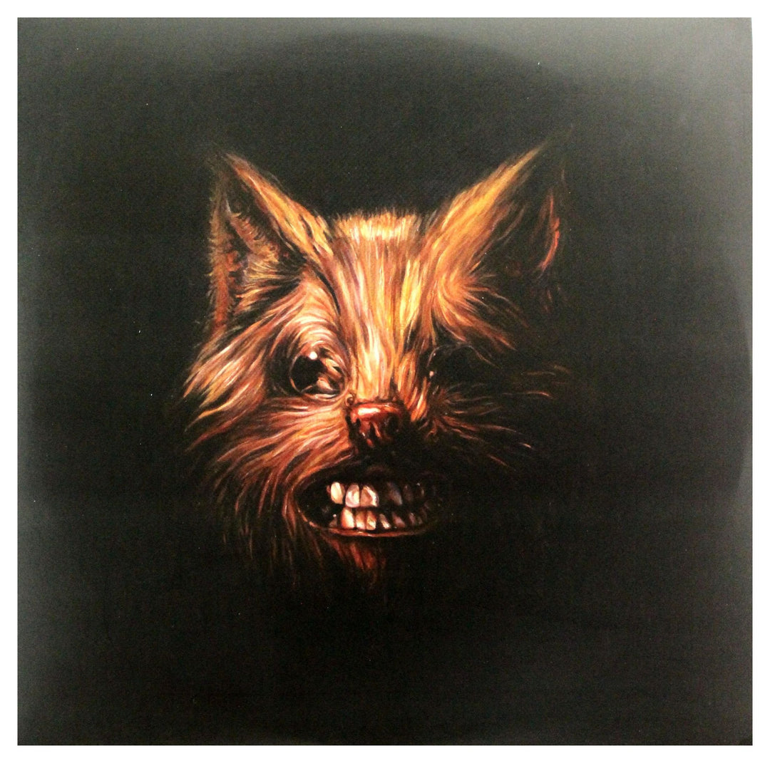 The Seer, Vinyl