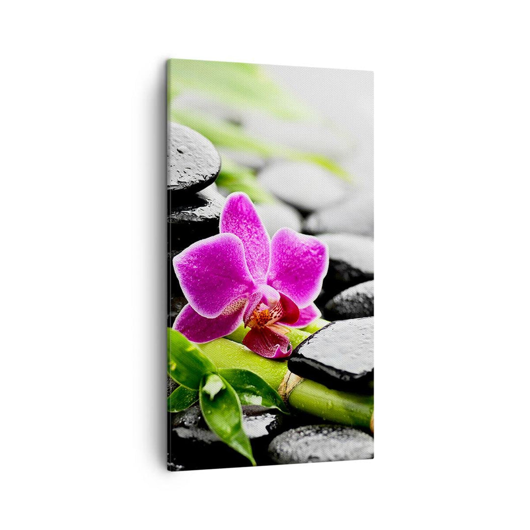 Bilder auf Leinwand Pflanze Steine Bambus Spa Leinwandbild mit Rahmen 45x80cm Wandbilder Dekoration