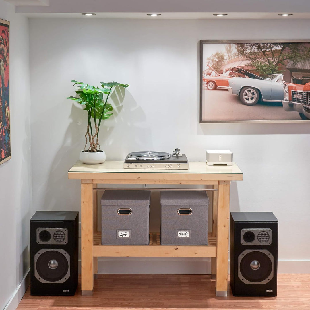 Dekorative Vinyl Schallplattenaufbewahrungsbox 2er Set für 100+ einzelne Schallplatten - stabile LP