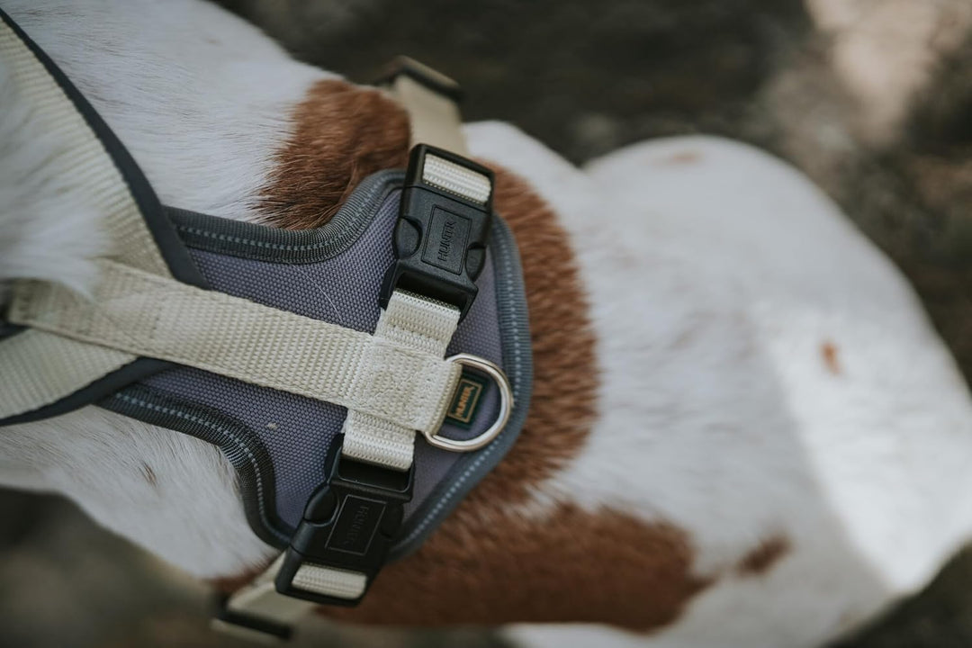 Hunter Hundegeschirr NEOPREN, Farbe: Matcha/grau, strapazierfähiges Nylon, mit weichem Neopren gepol