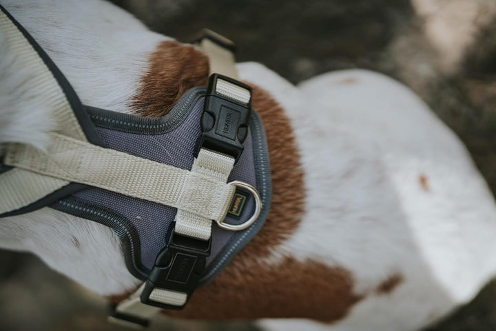 Hunter Hundegeschirr NEOPREN, Farbe: Matcha/grau, strapazierfähiges Nylon, mit weichem Neopren gepol